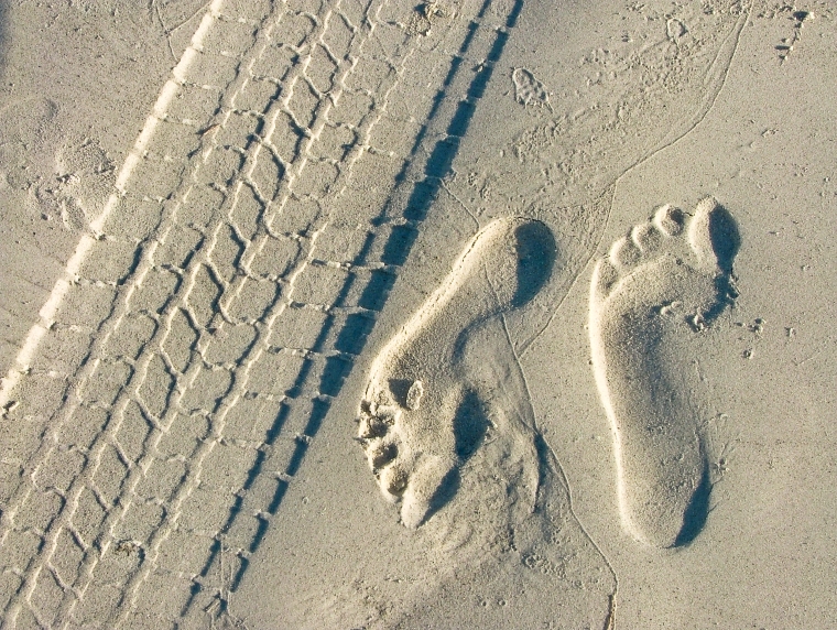 Footprints & Tire Tracks in Sand